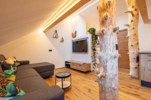 A television and/or entertainment centre at Appartments zum Beck
