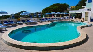 een groot zwembad met blauwe stoelen en parasols bij Hotel La Ginestra in Ischia