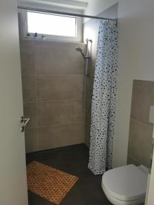 a bathroom with a shower with a toilet and a window at Ferienwohnung am Felsenkeller in Ebrach