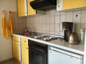 een keuken met een fornuis bovenoven naast een gootsteen bij Ferienwohnung am Kirschbaum in Uhldingen-Mühlhofen