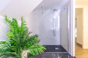 baño con ducha y planta en SPACIEUX CHIC Confort Parcs et Thermes en Vichy