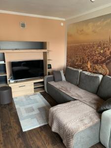 a living room with a couch and a flat screen tv at Aleksinac Centar in Aleksinac
