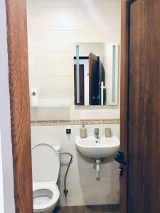 a bathroom with a toilet and a sink at Villa Mischa in Grashtitsa +26 photos