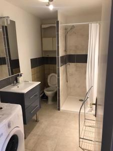 a bathroom with a shower and a toilet and a sink at ARAKAZA- Bolbec- WIFI GRATUIT in Bolbec