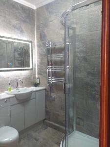 a bathroom with a shower, toilet and sink at St David's Guesthouse in Haverfordwest