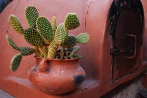 a vase with a cactus in it on a wall at Antigua Tilcara in Tilcara