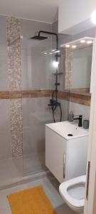 La salle de bains est pourvue d'une douche, d'un lavabo et de toilettes. dans l'établissement University Apartment, à Baia Mare