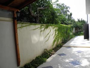 A garden outside Family Hotel Maritime