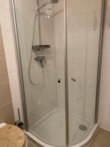 eine Dusche mit Glastür im Bad in der Unterkunft Allgäu Ankerplatz in Scheidegg