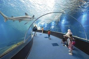 a group of people walking through an aquarium with a shark at La Ferme Des Pierrettes in Menneville