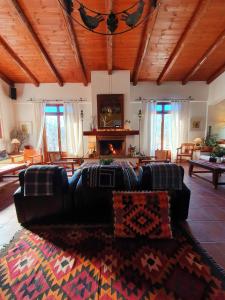 a living room with a couch and a fireplace at Helicon Muses Friendly Mountain B&B Guesthouse in Evangelístria