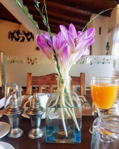 a vase filled with purple flowers sitting on a table at Helicon Muses Friendly Mountain B&B Guesthouse in Evangelístria