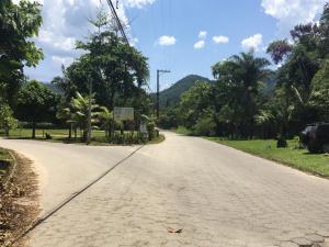 eine leere Straße mit Bäumen auf beiden Seiten in der Unterkunft Casa Temporada Damata in Ubatuba