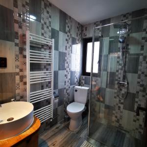 uma casa de banho com um WC e uma cabina de duche em vidro. em Casa Petran em Breb