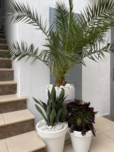 Imagen de la galería de Casa Dolly Boutique B&B, en Cantoria