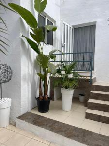 Imagen de la galería de Casa Dolly Boutique B&B, en Cantoria
