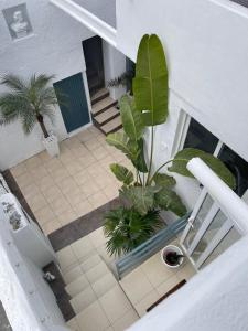 Zona de estar de Casa Dolly Boutique B&B
