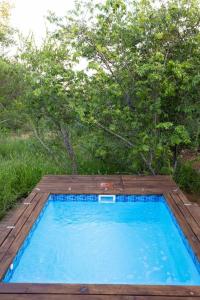 a swimming pool with a wooden deck and a blue pool at Wildheart Safari - Lion's Den in Hoedspruit