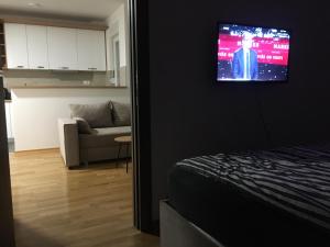 TV a/nebo společenská místnost v ubytování Cool Apartments with FREE PARKING