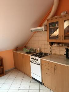 Fotografia z galérie ubytovania Barbara Apartmanház v destinácii Kehidakustány