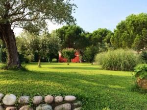 a park with a tree and rocks in the grass at Agriturismo Ca' La Pergola in Verona