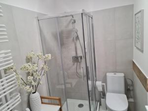 La salle de bains est pourvue d'une douche, de toilettes et d'une table. dans l'établissement Apartament Wyszyńskiego 10, à Białystok