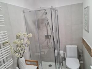 Kúpeľňa v ubytovaní Apartament Wyszyńskiego 10