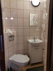 a small bathroom with a toilet and a sink at Agroturystyka u Marii in Komańcza