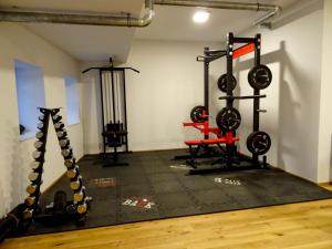 Fitness centrum a/nebo fitness zařízení v ubytování Apartment 3.4