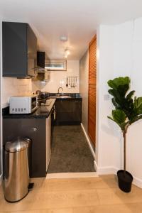 a kitchen with a black counter top and a plant at 1 Bedroom Newton Apartment l Free Parking l Wigan Royal Infirmary l Haigh Hall l Central Location in Wigan