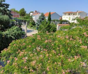 Fotografia z galérie ubytovania Apartman Arijana v Rogoznici