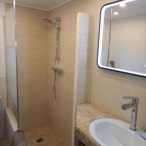 a bathroom with a shower and a sink and a mirror at gite-civray-de-touraine TROGLO de Denise in Civray-de-Touraine