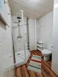 a bathroom with a shower and a toilet at Загородный отель RAUTA in Sortavala