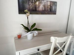 a white desk with a plant and a white chair at Agriturismo Albana in Castiglione delle Stiviere