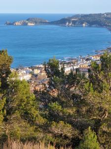 Fotografia z galérie ubytovania Appartement Cala Blanca v destinácii Jávea