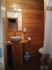 Kylpyhuone majoituspaikassa Hostal Caulle