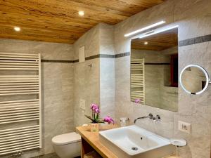 a bathroom with a sink and a toilet and a mirror at Chalet Aldian in Selva di Val Gardena