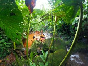 a group of people in a river in the jungle at Termales el Escondite in Florencia