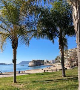 zwei Palmen in einem Park neben einem Strand in der Unterkunft Grand T2 43m2 plages du Mourillon in Toulon