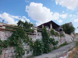 una pared de piedra con hiedra creciendo en ella en Dilek Tepesi Cave Hotel, en Ayvalı