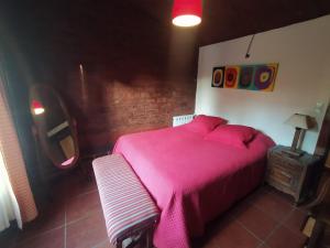 マル・デル・プラタにあるCasa Cuatro Roblesのピンクベッド1台と鏡付きのベッドルーム1室