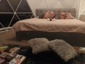 Ein Bett oder Betten in einem Zimmer der Unterkunft Stellarium Glamping