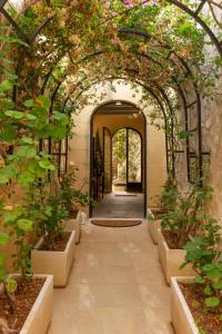 a hallway with an archway with trees and plants at ALTO Beyond in Xagħra