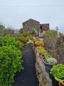 a garden with many pots of flowers and plants at CASA TIN in Isora