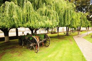 a bench with a tree and flowers in a park at Hotel & Spa Hacienda Baruk in Zacatecas