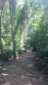 Fotografie z fotogalerie ubytování Hotel cahuita v destinaci Cahuita
