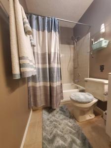 a bathroom with a shower curtain and a toilet at Cozy Indy Home in Indianapolis +12 photos