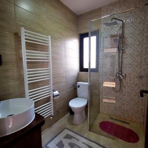 a bathroom with a toilet and a glass shower at Pensiunea Casa Petran in Breb +102 photos