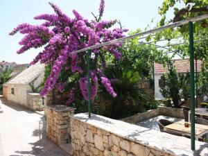 a bunch of purple flowers hanging over a stone wall at Apartments Paloc in Bol