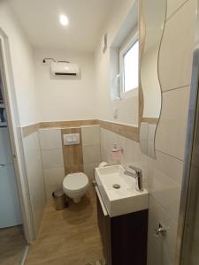 a bathroom with a toilet and a sink and a mirror at Fagoda-Fogadó Vendégház in Orfű